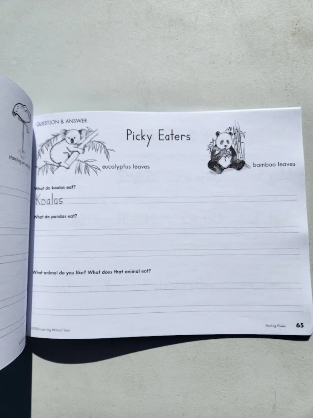 handwriting without tears new handwriting